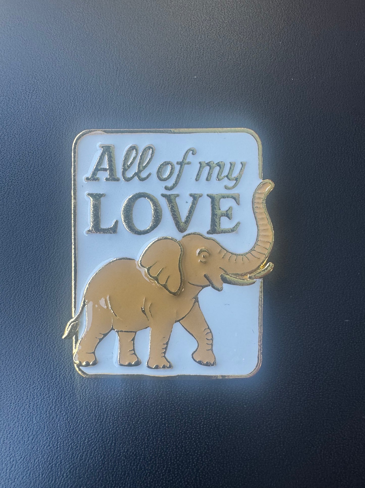 Golden AOML Pin