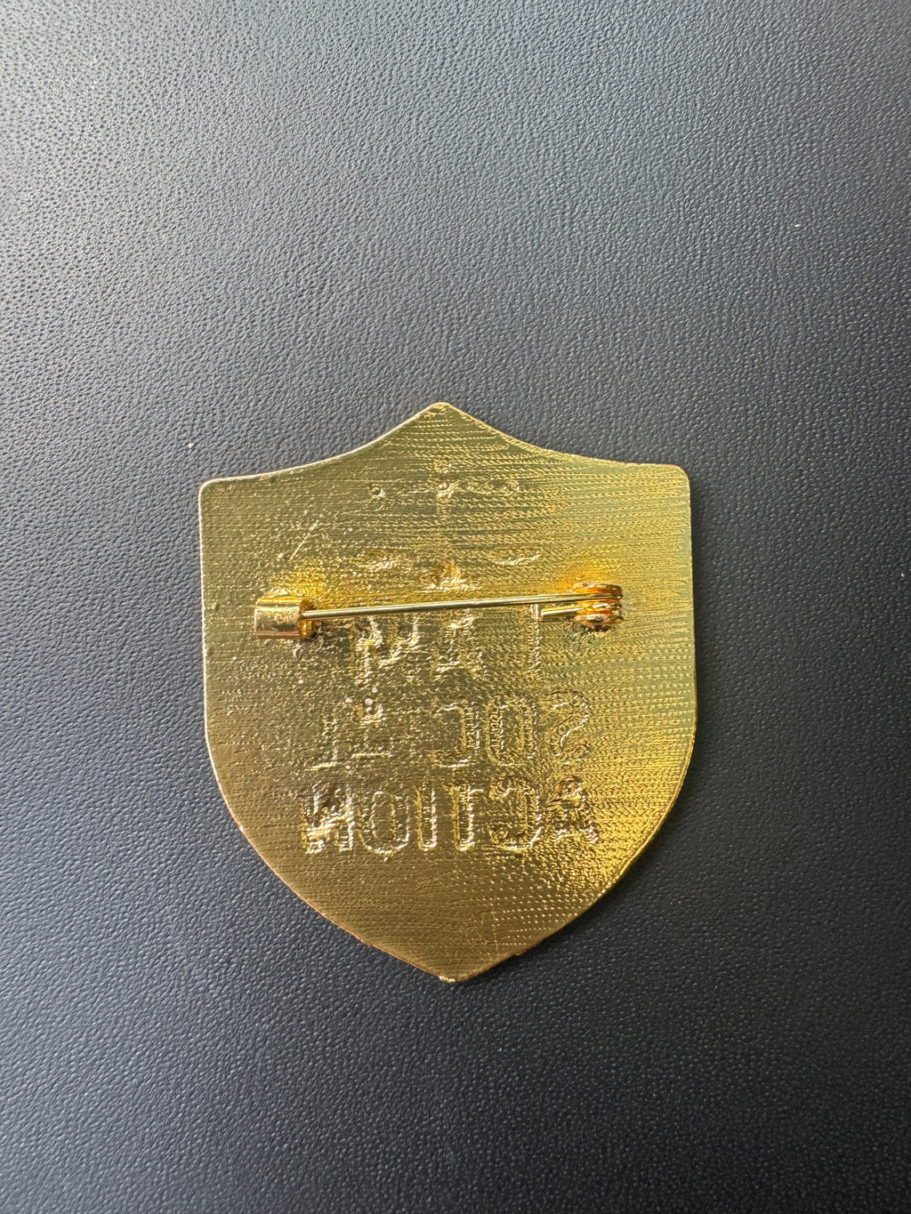 Social Action Lapel Pin