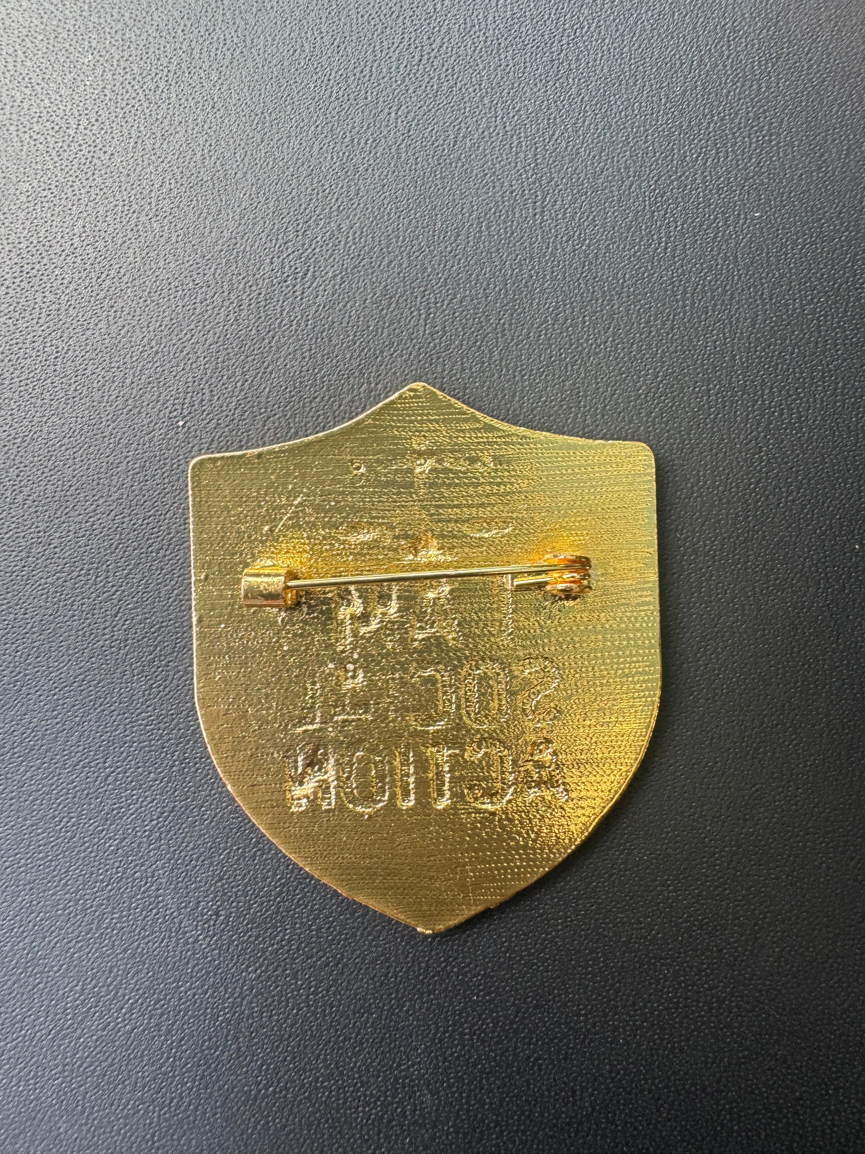 Social Action Lapel Pin