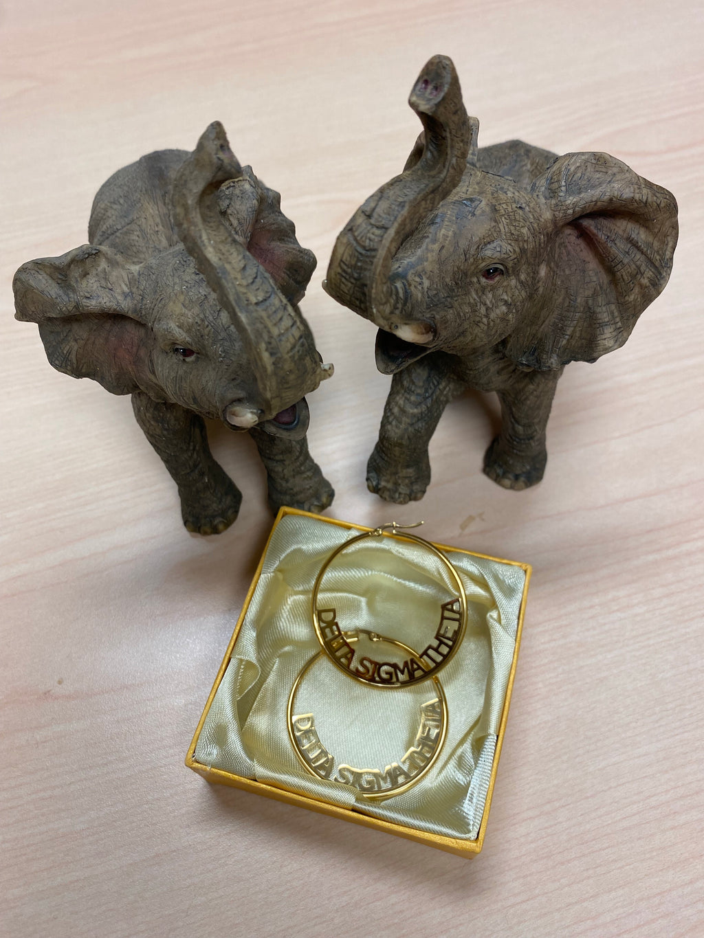 Delta Sigma Theta Hoops