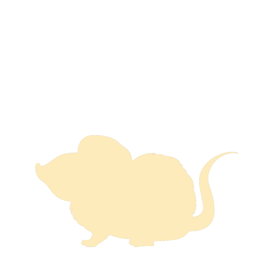 Fat Rat